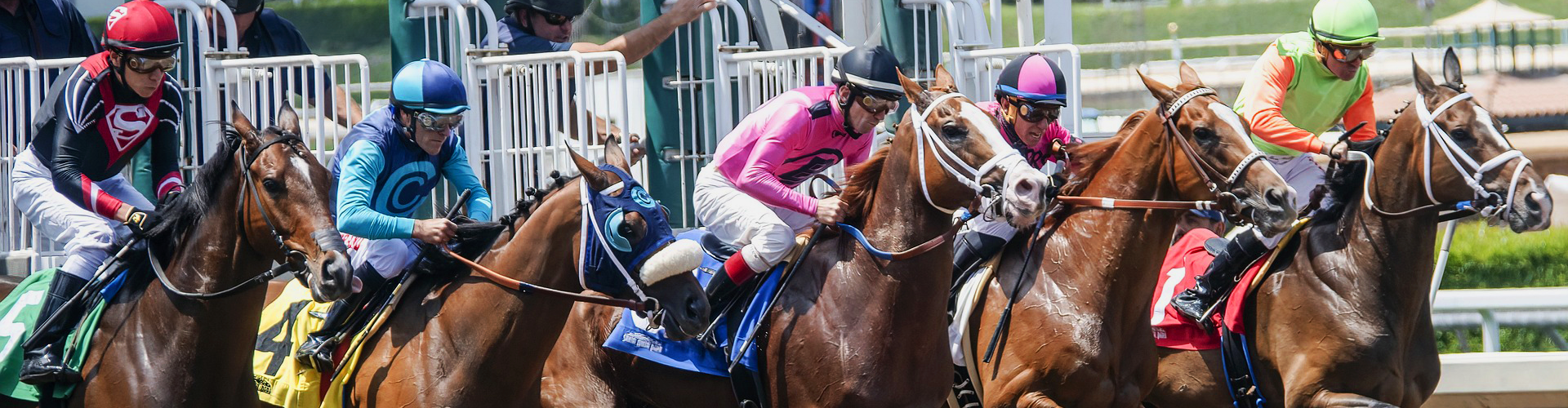 Horse Track betting horses coming out of the gate